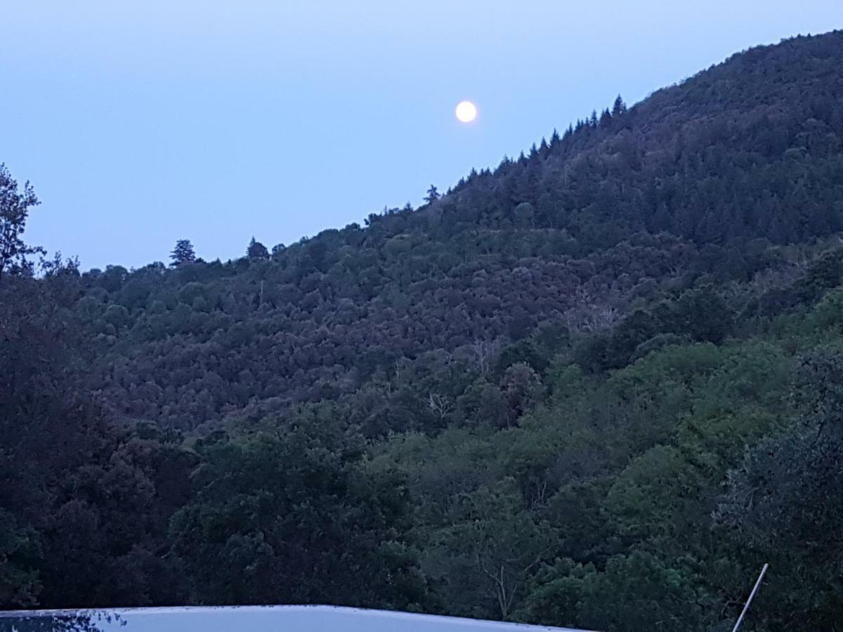 Arbúcies El Solei Paraiso En El Montseny المظهر الخارجي الصورة