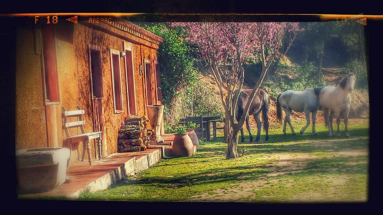 Arbúcies El Solei Paraiso En El Montseny المظهر الخارجي الصورة